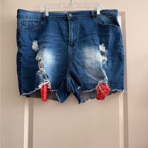 Elite Jeans Distressed Denim Shorts